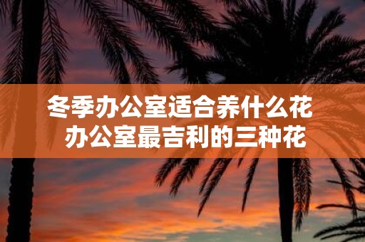 冬季办公室适合养什么花 办公室最吉利的三种花