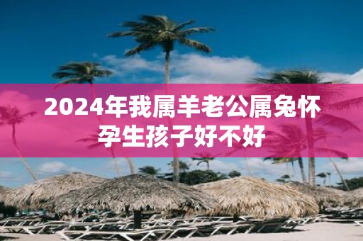 2025年我属羊老公属兔怀孕生孩子好不好