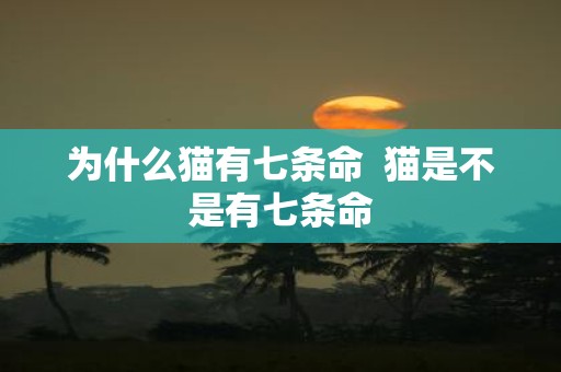 为什么猫有七条命 猫是不是有七条命