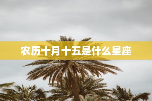 农历十月十五是什么星座