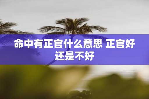 命中有正官什么意思 正官好还是不好