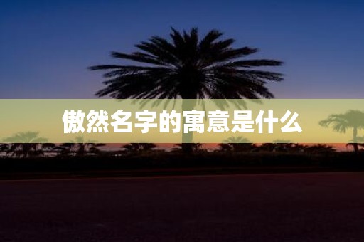 傲然名字的寓意是什么