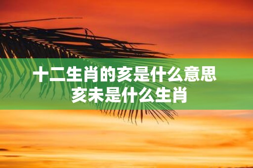 十二生肖的亥是什么意思 亥未是什么生肖