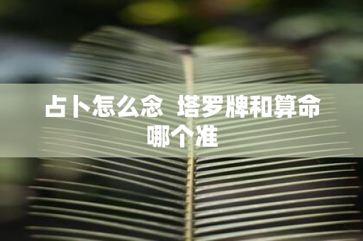 占卜怎么念 塔罗牌和算命哪个准