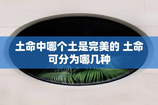 土命中哪个土是完美的 土命可分为哪几种