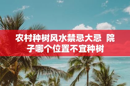 农村种树风水禁忌大忌 院子哪个位置不宜种树