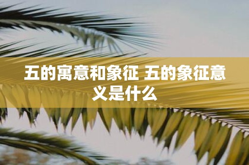 五的寓意和象征 五的象征意义是什么