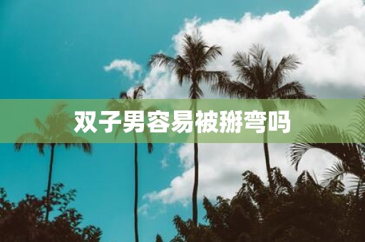 双子男容易被掰弯吗