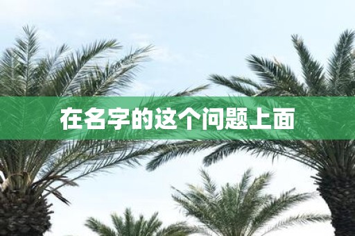 在名字的这个问题上面