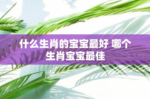 什么生肖的宝宝最好 哪个生肖宝宝最佳