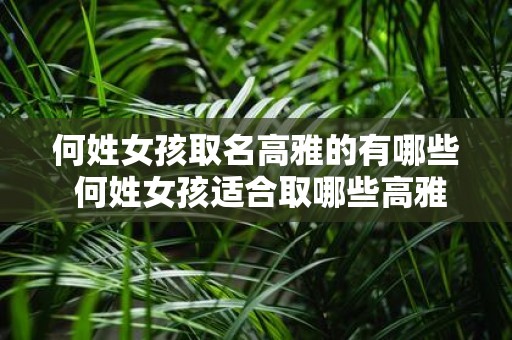 何姓女孩取名高雅的有哪些 何姓女孩适合取哪些高雅的名字