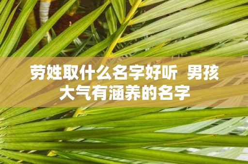 劳姓取什么名字好听 男孩大气有涵养的名字