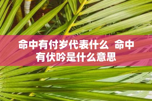 命中有付岁代表什么 命中有伏吟是什么意思