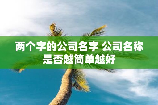 两个字的公司名字 公司名称是否越简单越好