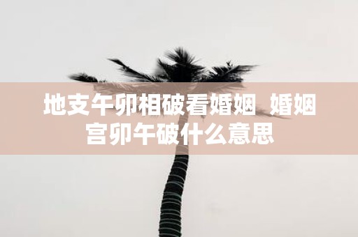 地支午卯相破看婚姻 婚姻宫卯午破什么意思