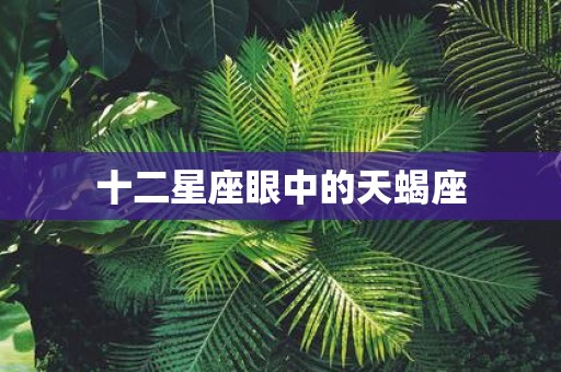 十二星座眼中的天蝎座