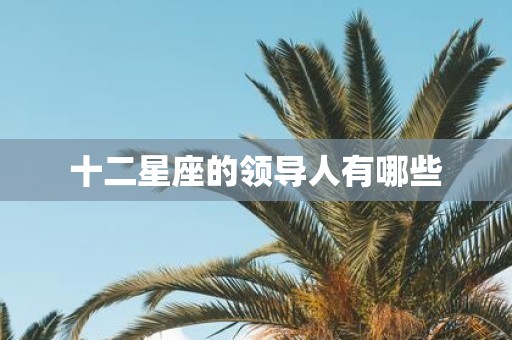十二星座的领导人有哪些