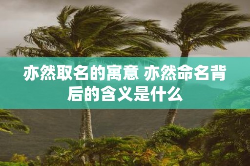 亦然取名的寓意 亦然命名背后的含义是什么