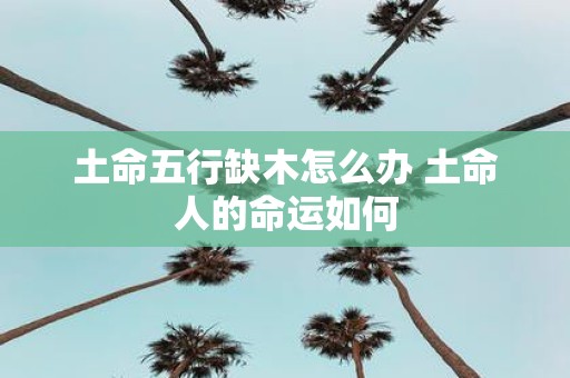 土命五行缺木怎么办 土命人的命运如何