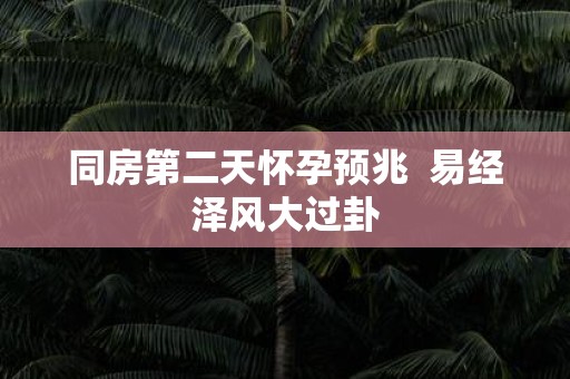 同房第二天怀孕预兆 易经泽风大过卦
