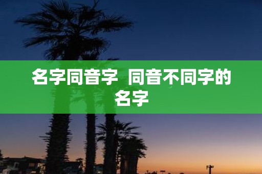 名字同音字 同音不同字的名字