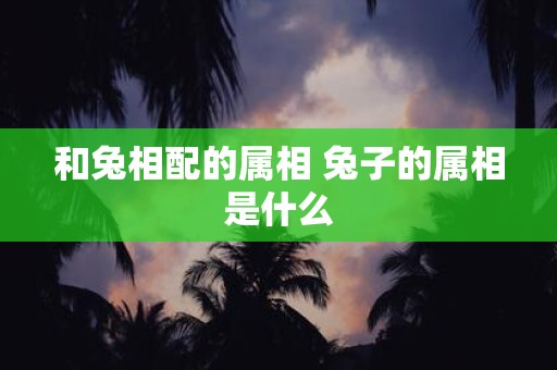 和兔相配的属相 兔子的属相是什么