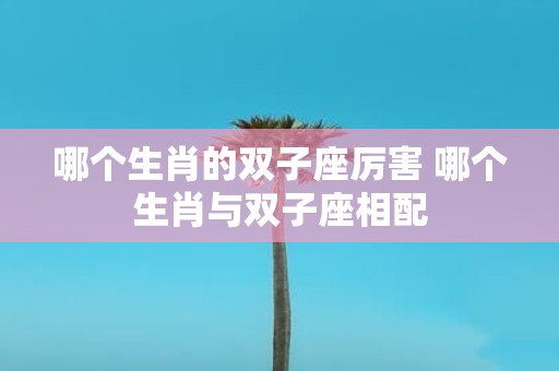 哪个生肖的双子座厉害 哪个生肖与双子座相配
