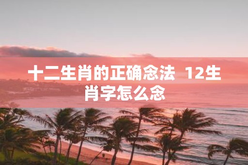 十二生肖的正确念法 12生肖字怎么念