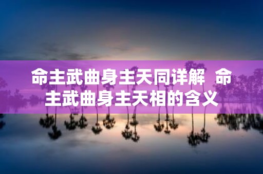 命主武曲身主天同详解 命主武曲身主天相的含义