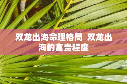 双龙出海命理格局 双龙出海的富贵程度