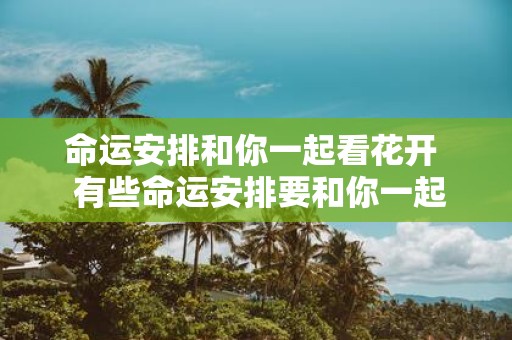 命运安排和你一起看花开 有些命运安排要和你一起看花开