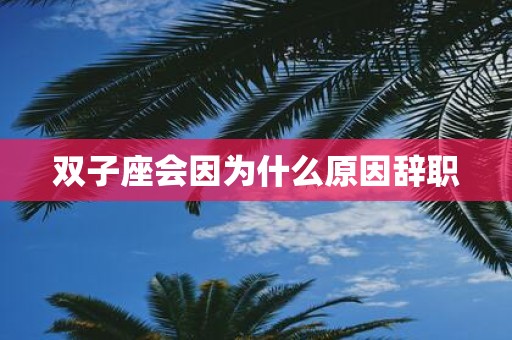 双子座会因为什么原因辞职