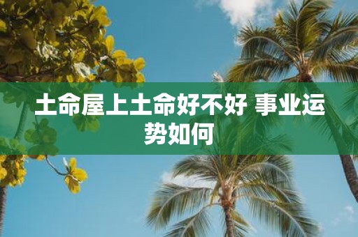 土命屋上土命好不好 事业运势如何