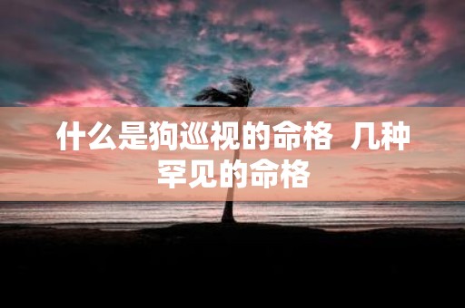 什么是狗巡视的命格 几种罕见的命格