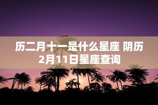 历二月十一是什么星座 阴历2月11日星座查询