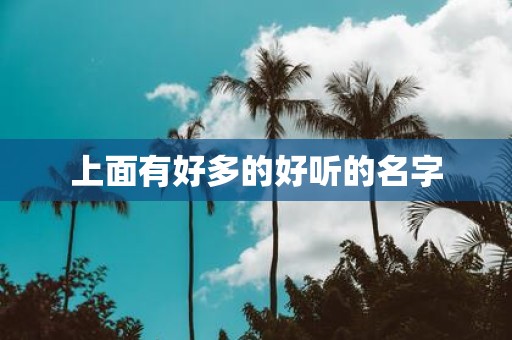 上面有好多的好听的名字
