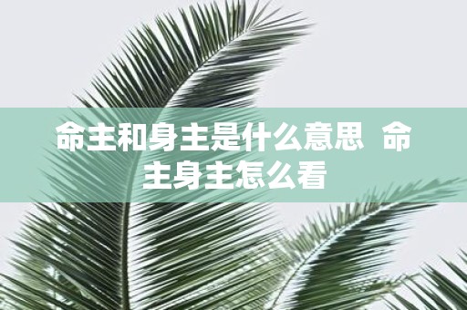 命主和身主是什么意思 命主身主怎么看