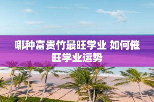 哪种富贵竹最旺学业 如何催旺学业运势