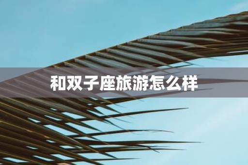 和双子座旅游怎么样
