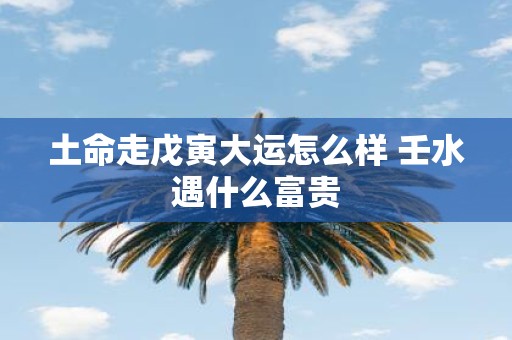 土命走戊寅大运怎么样 壬水遇什么富贵