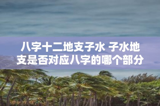 八字十二地支子水 子水地支是否对应八字的哪个部分