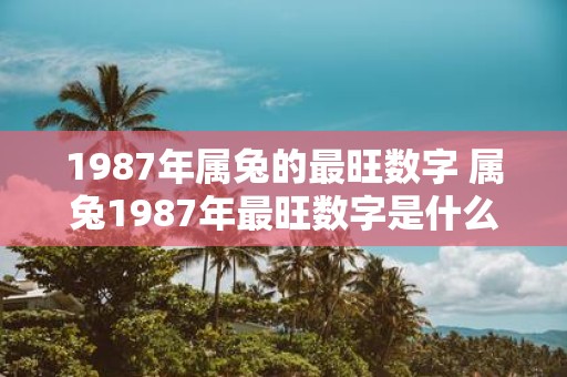 1987年属兔的最旺数字 属兔1987年最旺数字是什么