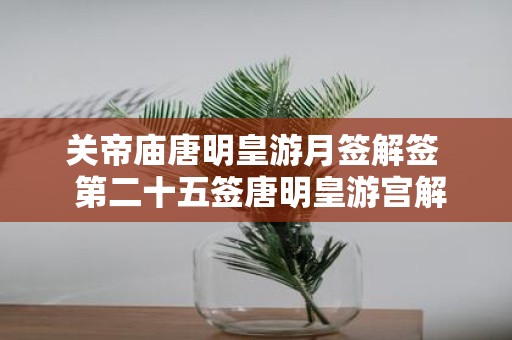 关帝庙唐明皇游月签解签 第二十五签唐明皇游宫解释