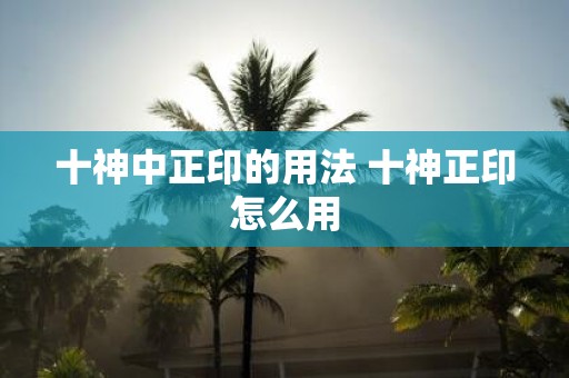 十神中正印的用法 十神正印怎么用