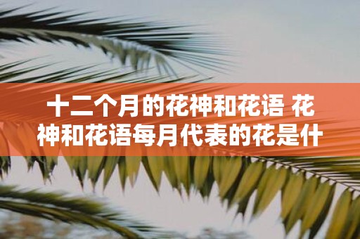 十二个月的花神和花语 花神和花语每月代表的花是什么