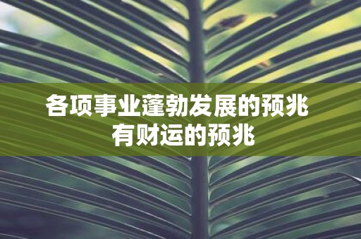 各项事业蓬勃发展的预兆 有财运的预兆