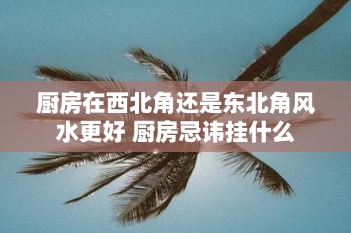 厨房在西北角还是东北角风水更好 厨房忌讳挂什么