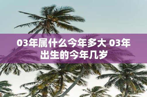 03年属什么今年多大 03年出生的今年几岁