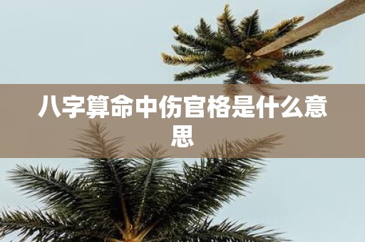 八字算命中伤官格是什么意思