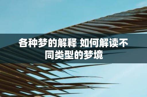 各种梦的解释 如何解读不同类型的梦境